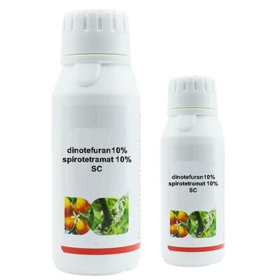 Dinotefuran 10% Pimetrozina 10% WP Insecticidas agrícolas