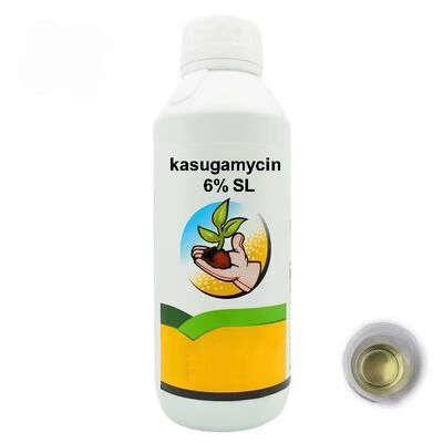 Kasugamicina 6% SL bactericida líquido sistémico soluble para el control de enfermedades bacterianas de las plantas, precio favorable de fábrica, paquete personalizable para compra a granel.