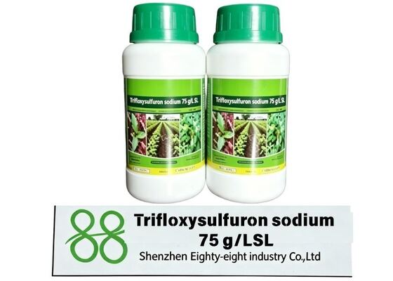 Trifloxisulfurón sódico 75 g/l SL, herbicida líquido soluble, herbicida de caña de azúcar, herbicida de malezas de hoja ancha después de su aparición, herbicida de sulfonilurea, agroquímico para el control de las sedas de las tierras altas