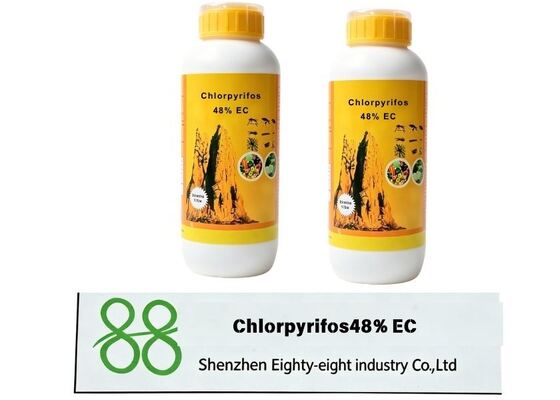 El clorpirifos 48% CE es un insecticida organofosforado de amplio espectro, ampliamente utilizado para matar varias plagas de cultivos de campo y árboles frutales.