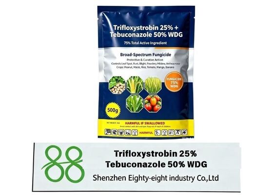 Fungicida WDG de trifloxistrobina + tebuconazol directo de fábrica. Doble mecanismo, efecto residual prolongado, ideal para el manejo de enfermedades en huertos y cultivos de campo.