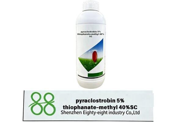 Suspensión concentrada fungicida de doble ingrediente activo. Combinación de protección de contacto y efecto curativo sistémico, ampliamente utilizado en frutas. CAS 23564 05 8 70% WP Fungicida de Tiophanato de Metilo