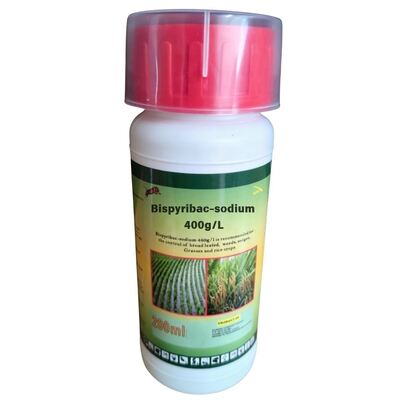 Control de malezas de arroz: concentrado de suspensión de bispiribac-sodio 400 g/l SC (CAS: 125401-92-5) herbicida pirimidinil carboxilato de alta eficiencia para la agricultura.