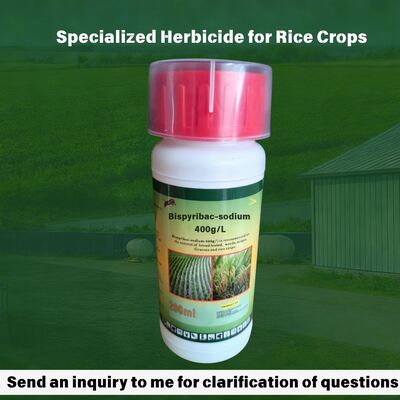 Control de malezas de arroz: concentrado de suspensión de bispiribac-sodio 400 g/l SC (CAS: 125401-92-5) herbicida pirimidinil carboxilato de alta eficiencia para la agricultura.