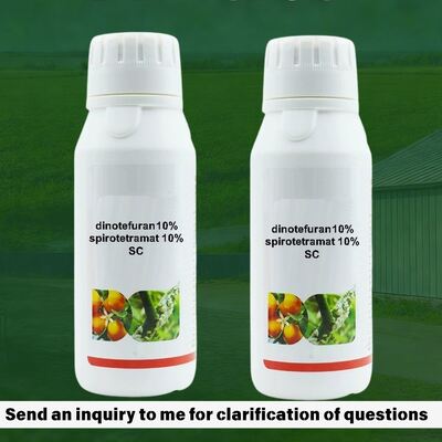 Dinotefuran 10% Pimetrozina 10% WP Insecticidas agrícolas