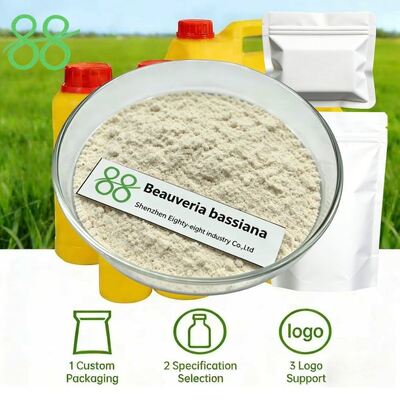 CAS 63428 82 0 Beauveria Bassiana Productos químicos biológicos