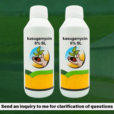 Kasugamicina 6% SL bactericida líquido sistémico soluble para el control de enfermedades bacterianas de las plantas, precio favorable de fábrica, paquete personalizable para compra a granel.