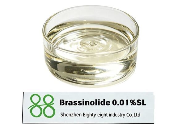 Brassinolide 0.01% SL Regulador de crecimiento de plantas Líquido soluble, mejora la configuración de la fruta floreciente y resistencia al estrés para frutas de arroz y verduras, embalaje personalizado OEM de fábrica