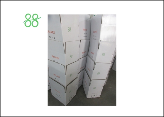 Daminosida B9 99%TC Hormona de crecimiento de las plantas