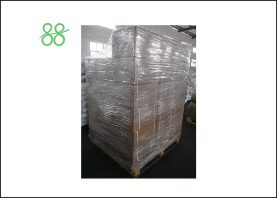 Niclosamida 50% WP Polvo amarillo Insecticida agrícola