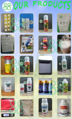 Fenpiroximato 50 g/l SC 95%TC Insecticida líquido para el control de plagas