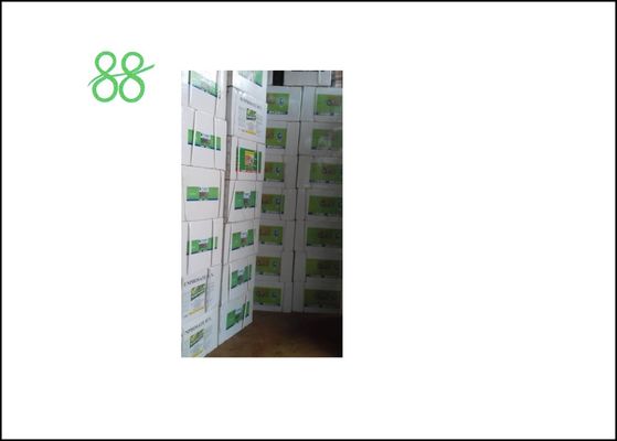 Esfenvalerato 50 g/LEC 10%EC 95TC Insecticida orgánico para predroides
