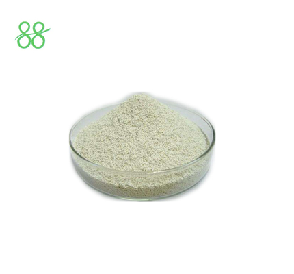 Thidiazuron 98% TC Hormona de crecimiento de las plantas Gota Cas 51707-55-2