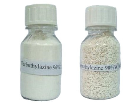 Terbutilazina 87,5% WDG Herbicidas para el control de malezas Cas 5915 41 3