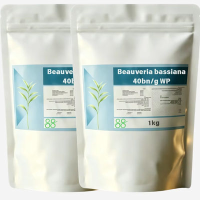 CAS 63428 82 0 Beauveria Bassiana Productos químicos biológicos