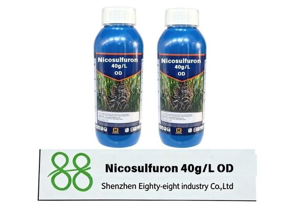 Nicosulfurón 750 g/kg WDG herbicida de maíz de alta eficiencia para el control de malezas de hierba, precio competitivo de fábrica, pedido a granel y embalaje personalizado.