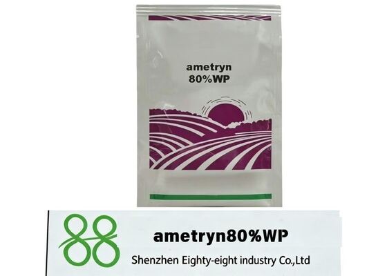 Agroquímico Thiophanate-Methyl 50% SC directo de fábrica. Fórmula de suspensión estable, amplio espectro de enfermedades, ideal para el manejo de enfermedades fúngicas en granjas a gran escala.